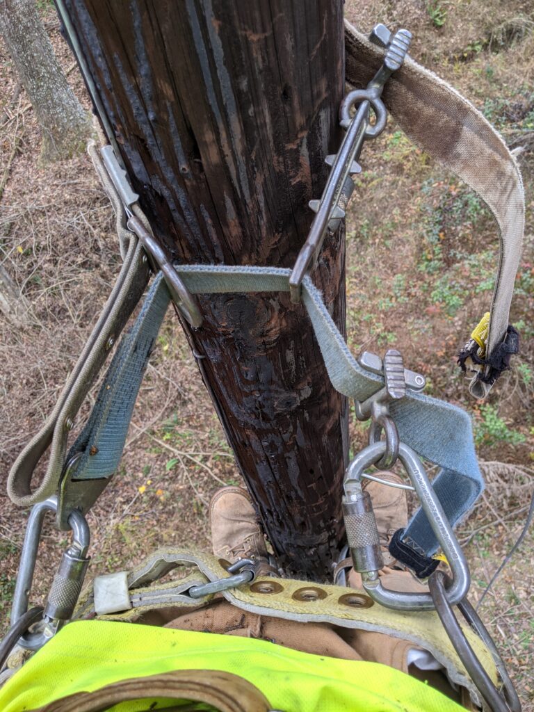 bucksqueeze