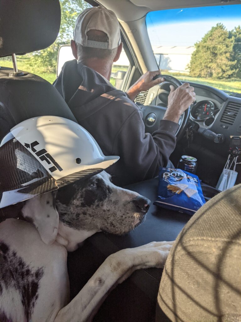 lineman hard hat